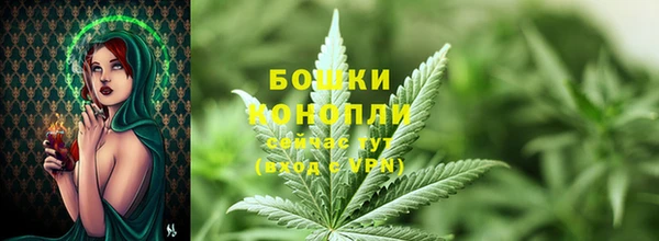 марихуана Новокубанск
