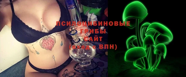 винт Новозыбков