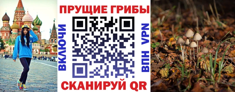 Псилоцибиновые грибы GOLDEN TEACHER Петровск