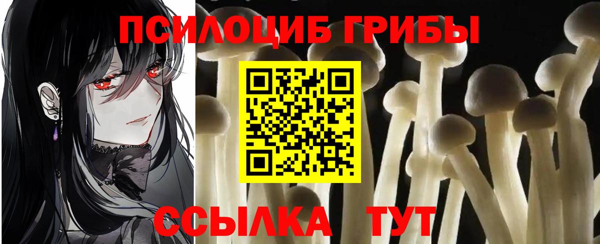 Петровск  Галлюциногенные грибы MAGIC MUSHROOMS  Псилоцибиновые грибы GOLDEN TEACHER  Вход с VPN 