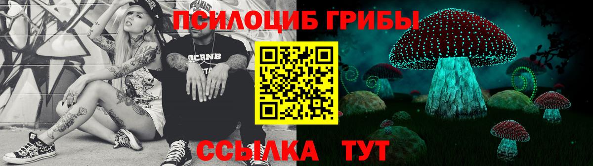 Псилоцибиновые грибы Magic Shrooms  Петровск  Галлюциногенные грибы Psilocybine cubensis 